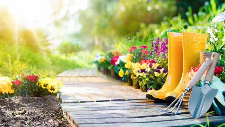 Le guide du jardinier