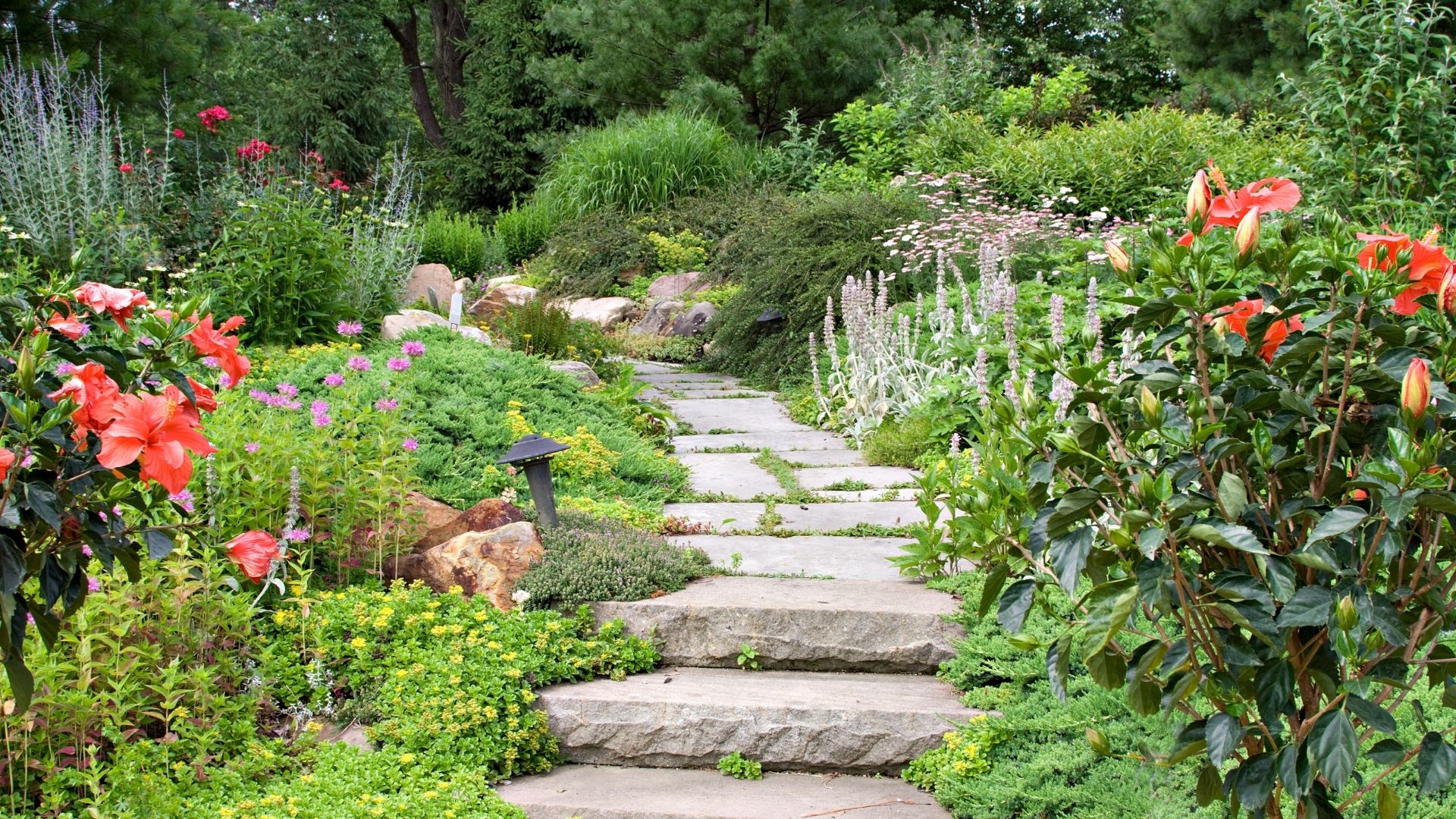 Jardin arrosé avec végétation extérieure