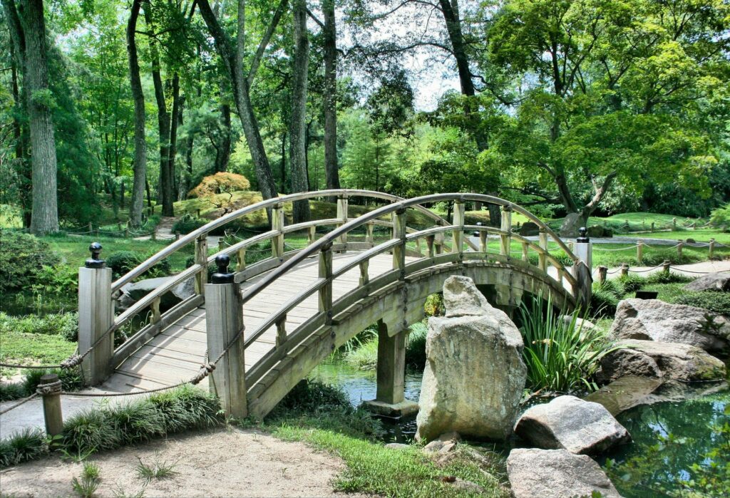 Jardin végétalisé avec pelouse et plantations